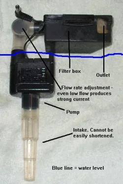 pump.webp