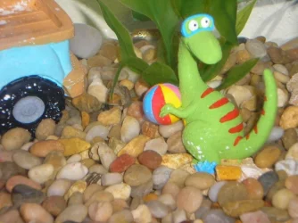 fish_006.webp