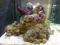01042008.webp 01042008.webp