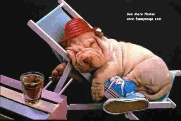 photorelaxed.webp