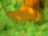 untitled.webp