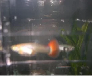 DSCN1431.webp