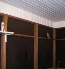 hawk2.webp