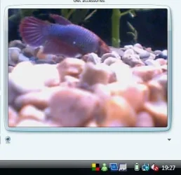 update.webp