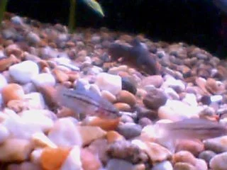 Picture_70.webp