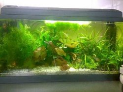 Tank1.JPG