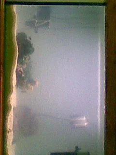 Day_1.webp