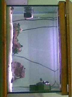 Day_4.webp