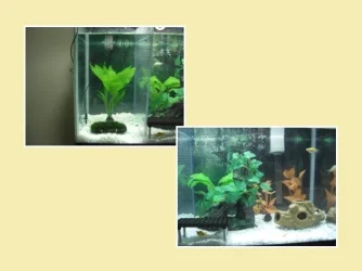 CIMG0602.webp