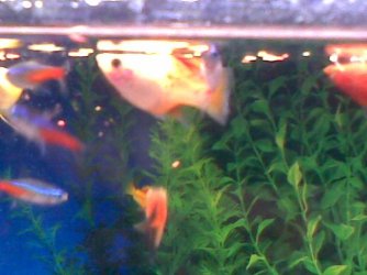 Image005.jpg