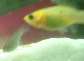 DSCF2416bnvmbkb.webp