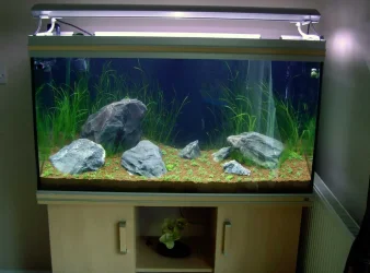 planted.webp