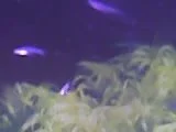 Multimed.jpg6.webp