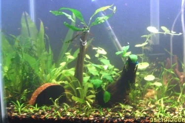 new_pics_062.webp new_pics_062.webp