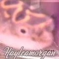 Haleamorgan_avy.webp
