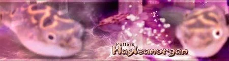 Haleamorgan_bubbly_sig.webp