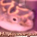 Haleamorgan_avy.webp