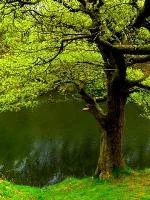 CIMG5093__Small_.webp