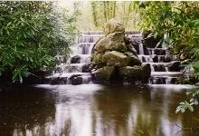 strade_woods.webp