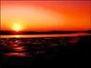 4081436411a6855163597l__Small_.webp