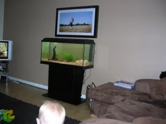 Picture_303.webp