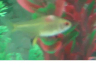 untitled2.webp