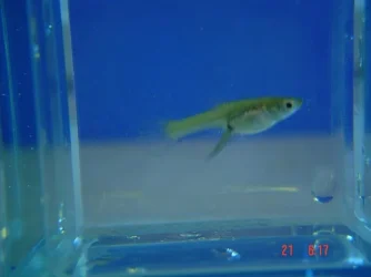 DSC04140.webp DSC04140.webp