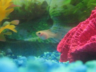 IMG_0092.jpg IMG_0092.jpg