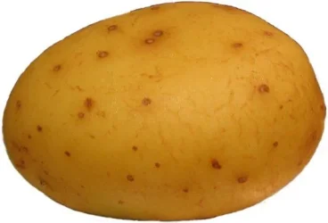 potato.webp