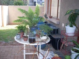 SDC10300.webp