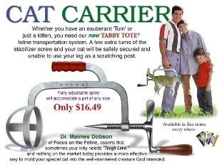 cat_transport.jpg cat_transport.jpg