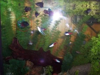 untitled.webp
