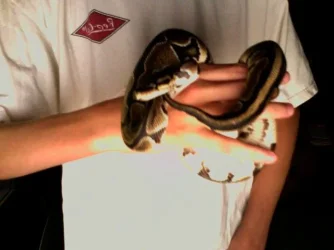 Photo_7.webp