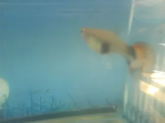 DSC01053.webp