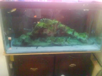 DSC01112.webp
