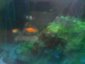 DSC01116.webp