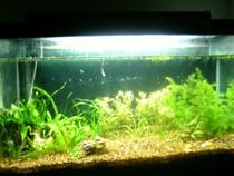 Aquarium_2_Full.jpg