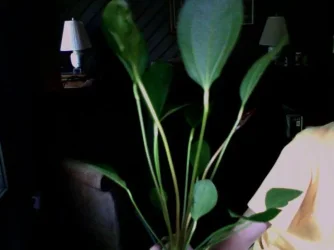Photo_7.webp