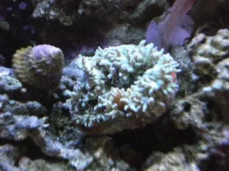 DSC01354.webp