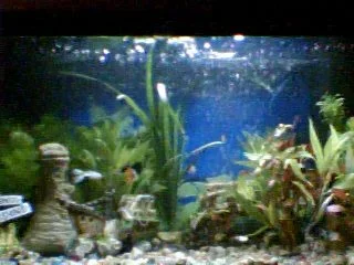 Picture_38.webp