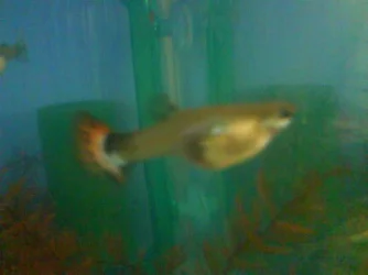 DSC01078.webp