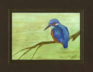 Kingfisher__Large_.webp