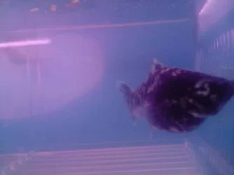 P250808_14.07.webp