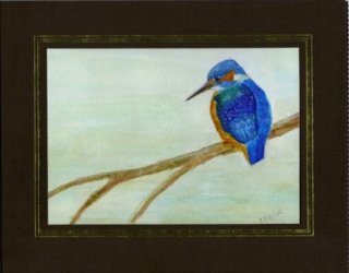 kingfisher_2.jpg