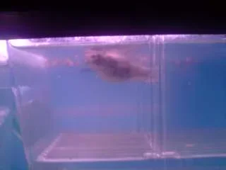 P300808_11.23_03_.webp