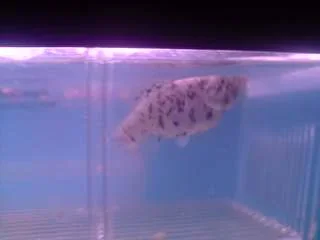 P300808_11.24.webp