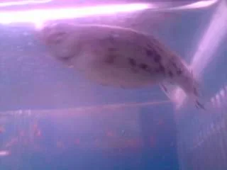 P300808_11.23_01_.webp