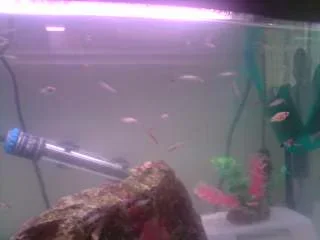 P300808_11.28.webp