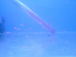 P290808_08.35_02_.webp