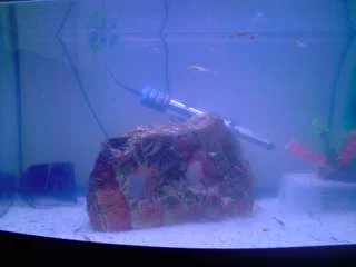 P270808_16.46.webp